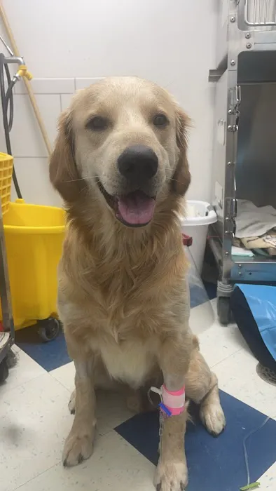 Robinson Animal Hospital Picture 1