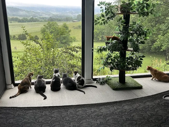 Oakwell Animal Hospital Picture 9