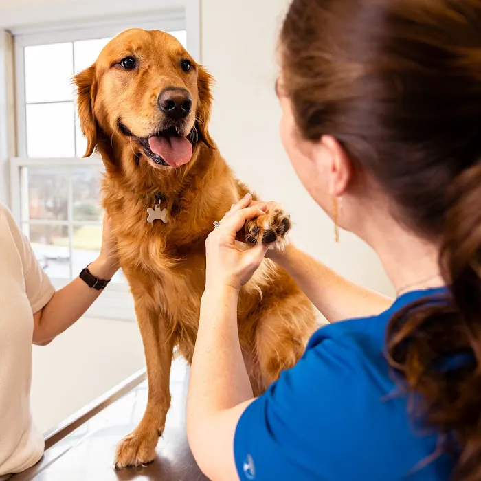 Oakwell Animal Hospital Picture 10