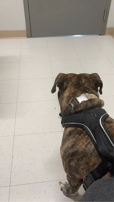 Jonesborough Animal Hospital Picture 1