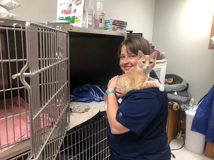 Jonesborough Animal Hospital Picture 6