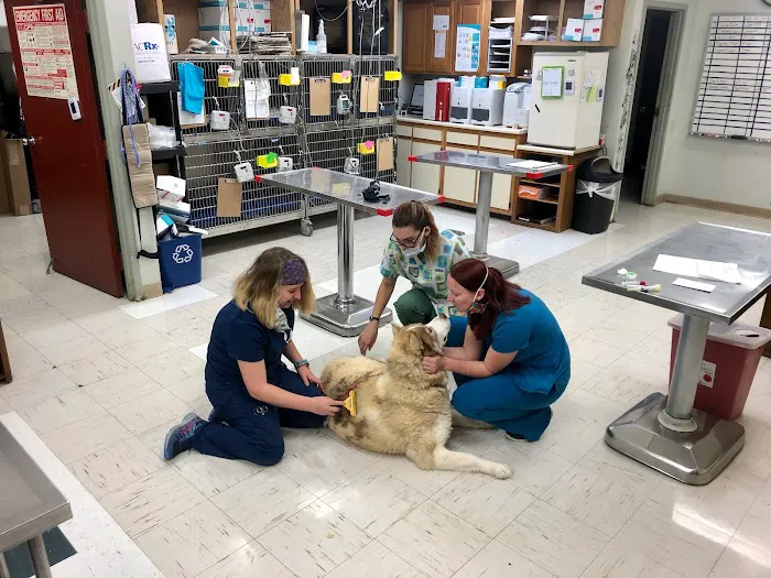 Jonesborough Animal Hospital Picture 8