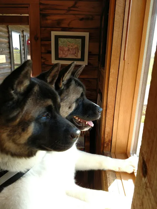 Sanders Animal Hospital Picture 4