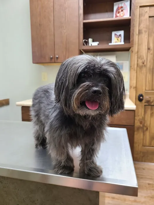 Sanders Animal Hospital Picture 7