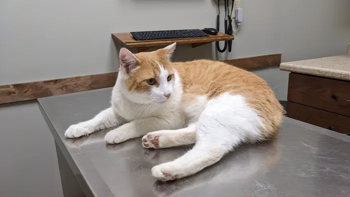 Sanders Animal Hospital Picture 5