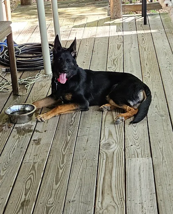 Sanders Animal Hospital Picture 8
