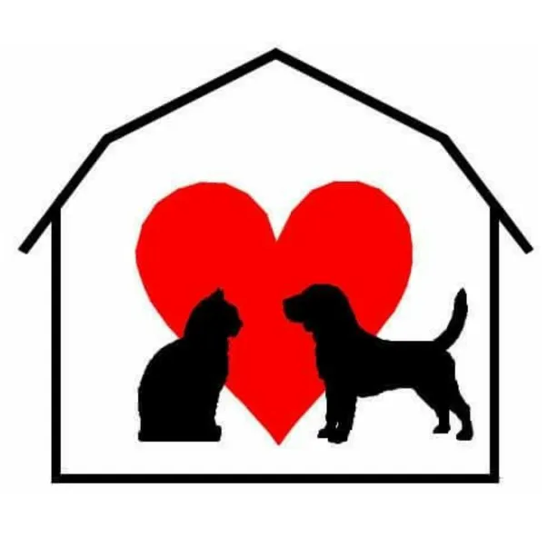 Town & Country Animal Hospital Picture 8