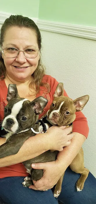 Robinson Animal Hospital Picture 4