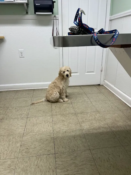 Robinson Animal Hospital Picture 2