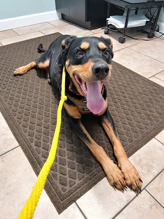 Clayton Animal Hospital Picture 5