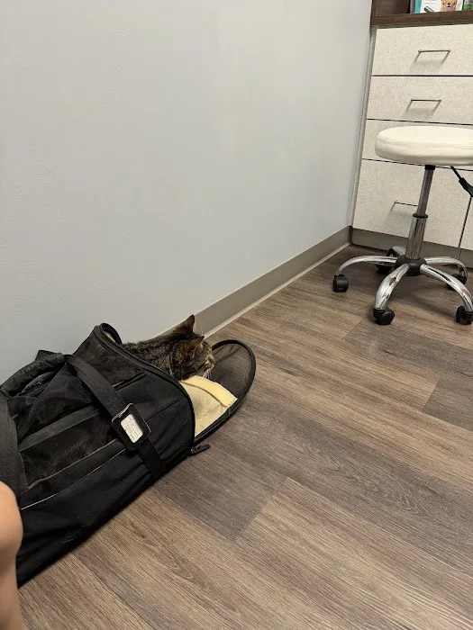 Stonewater Veterinary Hospital Picture 8