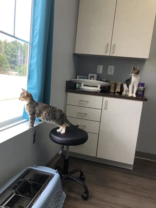 Stonewater Veterinary Hospital Picture 4