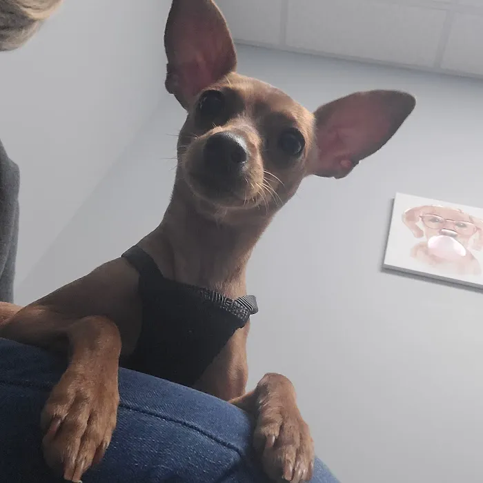 Stonewater Veterinary Hospital Picture 10