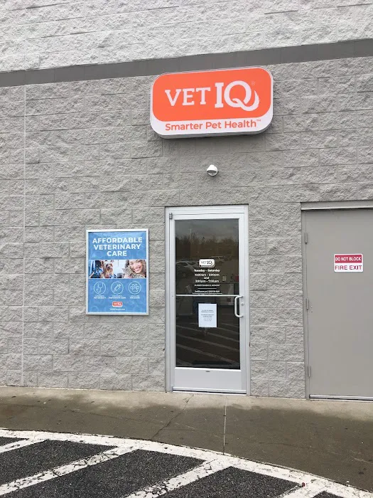 VetIQ Petcare Picture 1