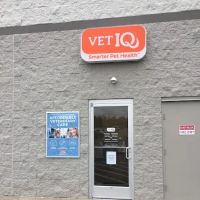 VetIQ Petcare ico