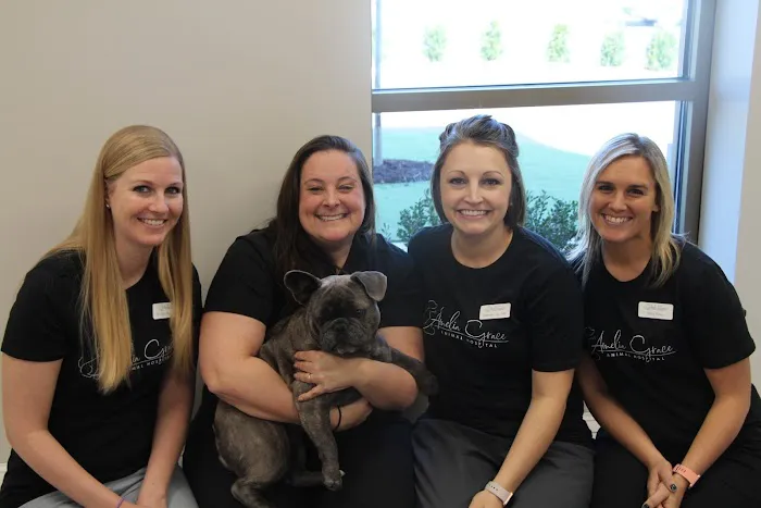 Amelia Grace Animal Hospital Picture 1