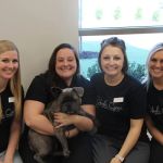 Amelia Grace Animal Hospital