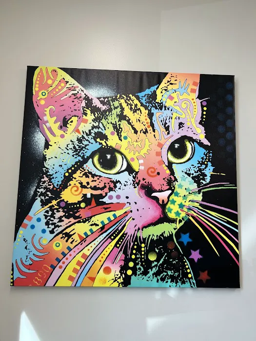Amelia Grace Animal Hospital Picture 10