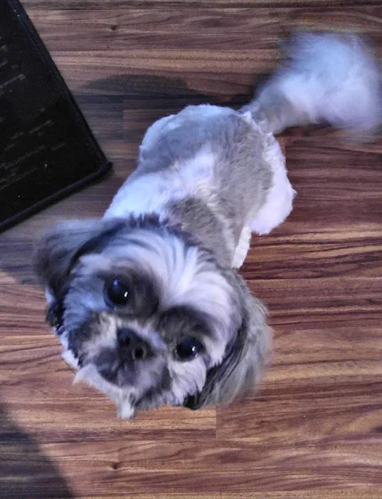 For Pets Sake Animal Hospital Picture 1