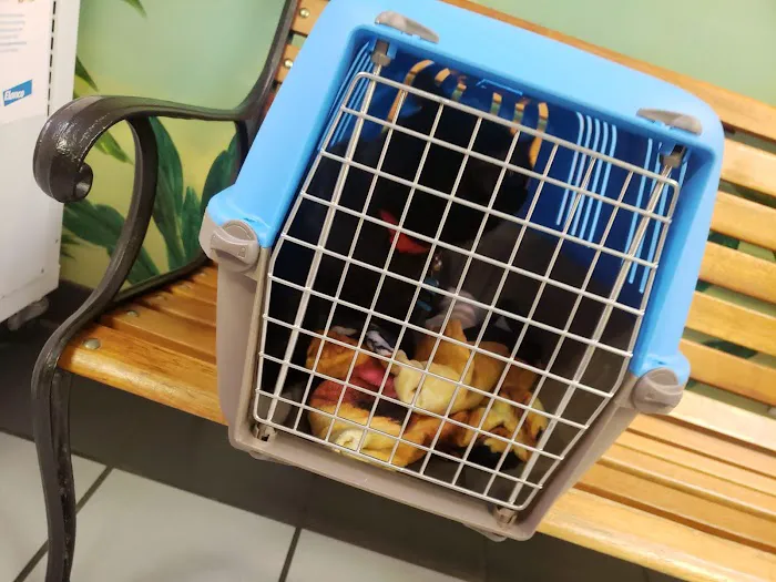 For Pets Sake Animal Hospital Picture 4