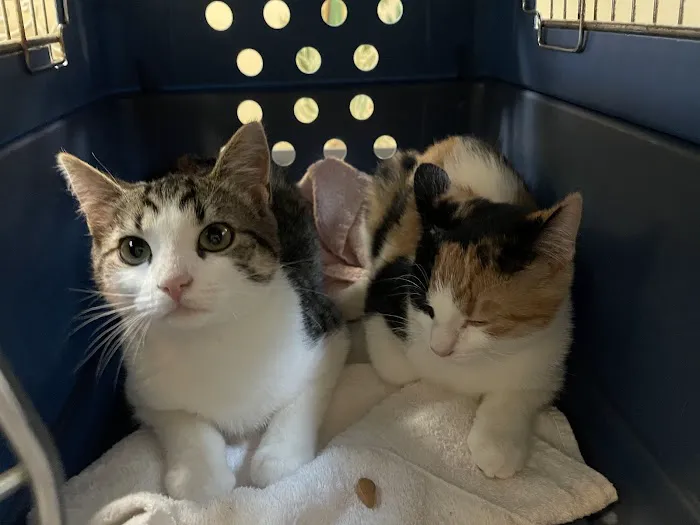 For Pets Sake Animal Hospital Picture 5