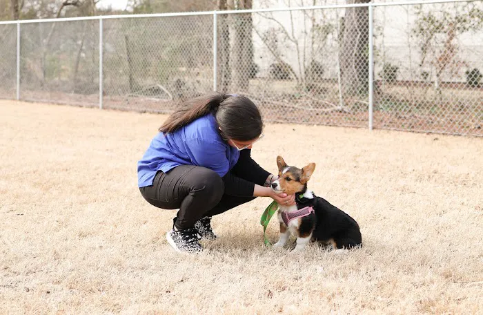 Johnston Animal Hospital Picture 10