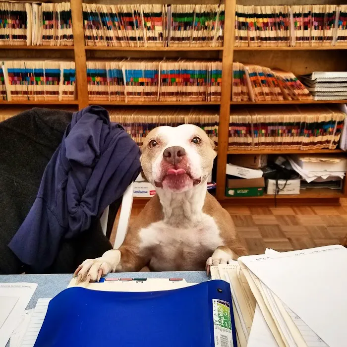 Cleveland Community Veterinary Hospital Picture 10