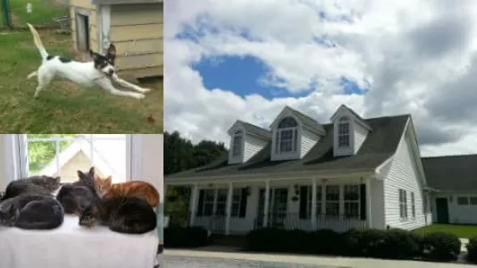 Cleveland Community Veterinary Hospital Picture 2