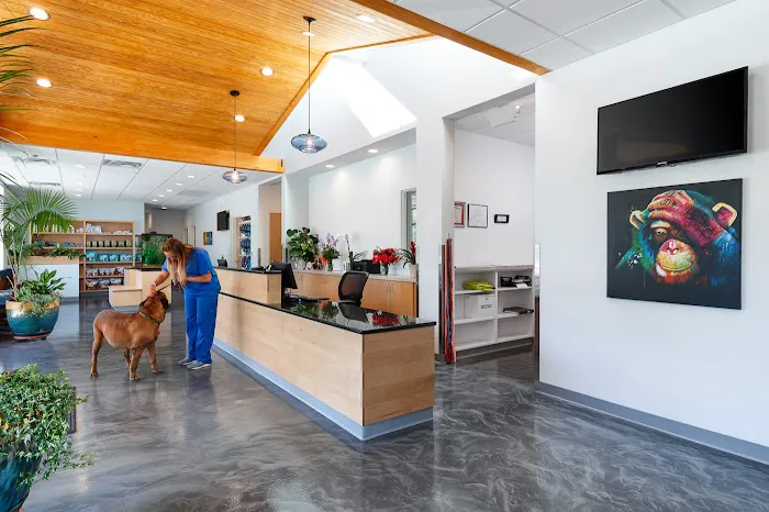 Aardvark Animal Hospital Picture 1
