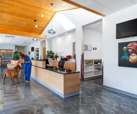 Aardvark Animal Hospital