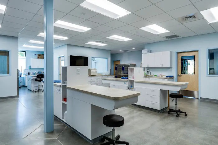 Aardvark Animal Hospital Picture 6