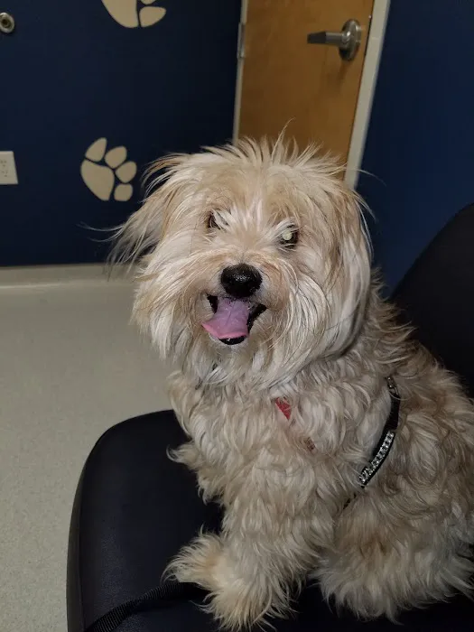 Cleveland School Animal Hospital Picture 7