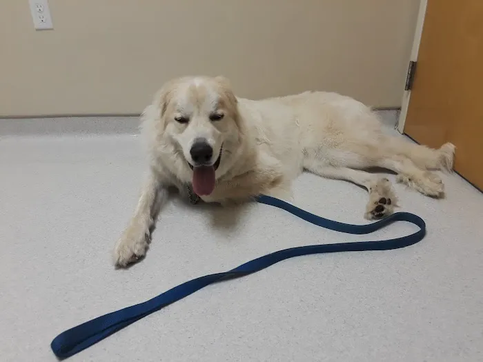 Cleveland School Animal Hospital Picture 6