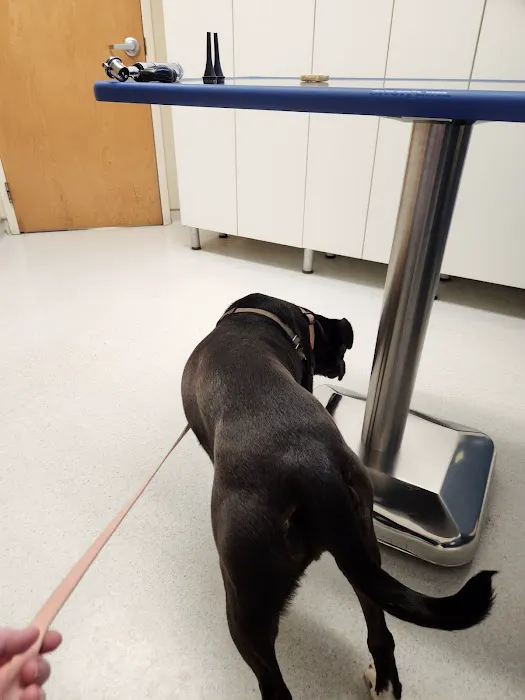 Cleveland School Animal Hospital Picture 2