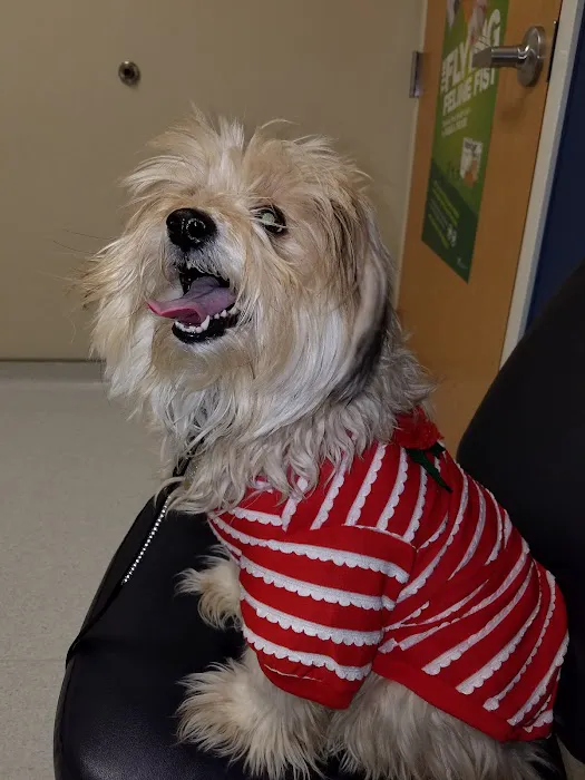 Cleveland School Animal Hospital Picture 4