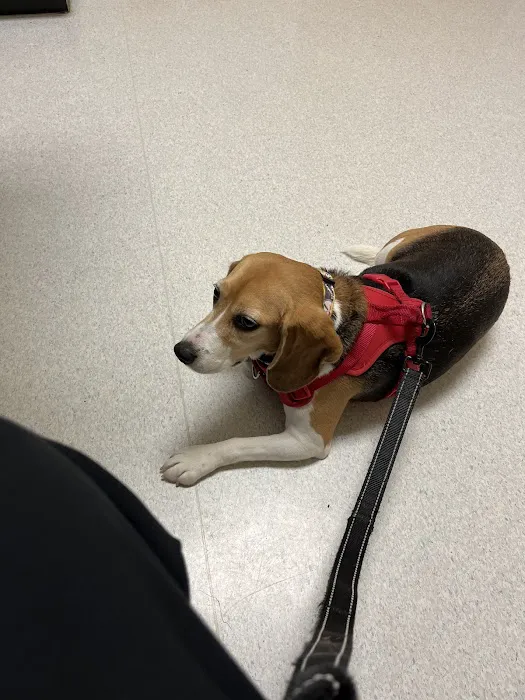 Cleveland School Animal Hospital Picture 9