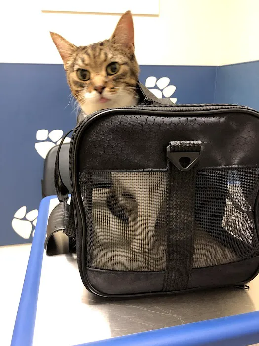 Cleveland School Animal Hospital Picture 8