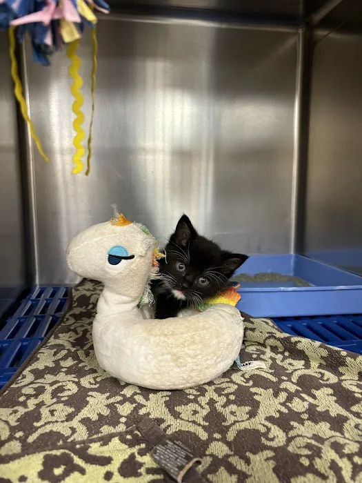 Riverside Veterinary Hospital: Bob Cameron DVM Picture 4