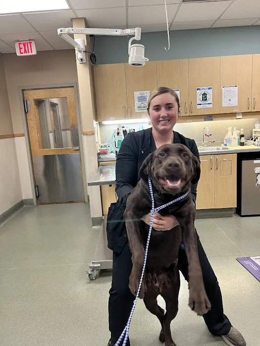 Riverside Veterinary Hospital: Bob Cameron DVM Picture 8