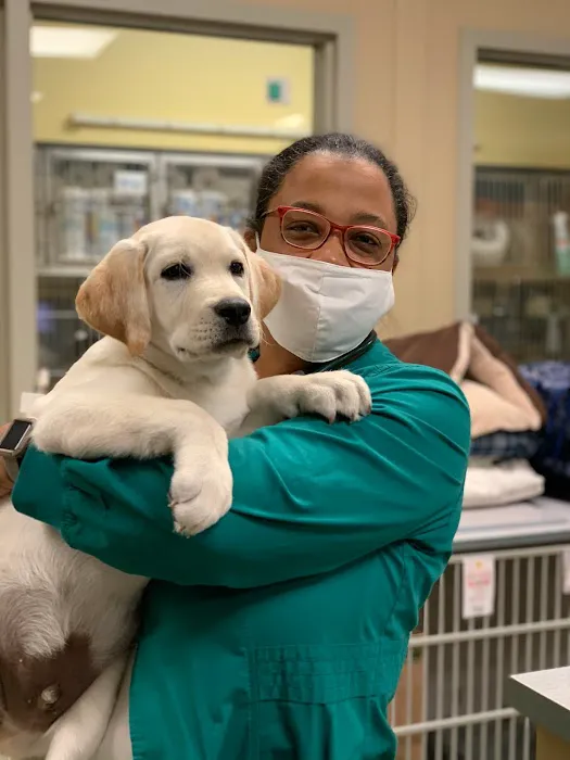 Riverside Veterinary Hospital: Meachem Chandra DVM Picture 5