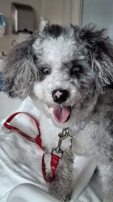 Riverside Veterinary Hospital Picture 4