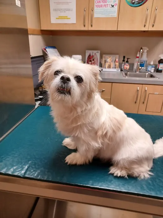 Riverside Veterinary Hospital Picture 2