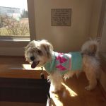 Creekside Animal Hospital