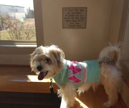 Creekside Animal Hospital