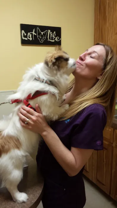 Creekside Animal Hospital Picture 4