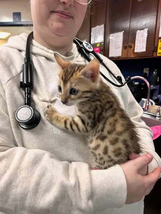 Roanoke Animal Hospital Picture 5