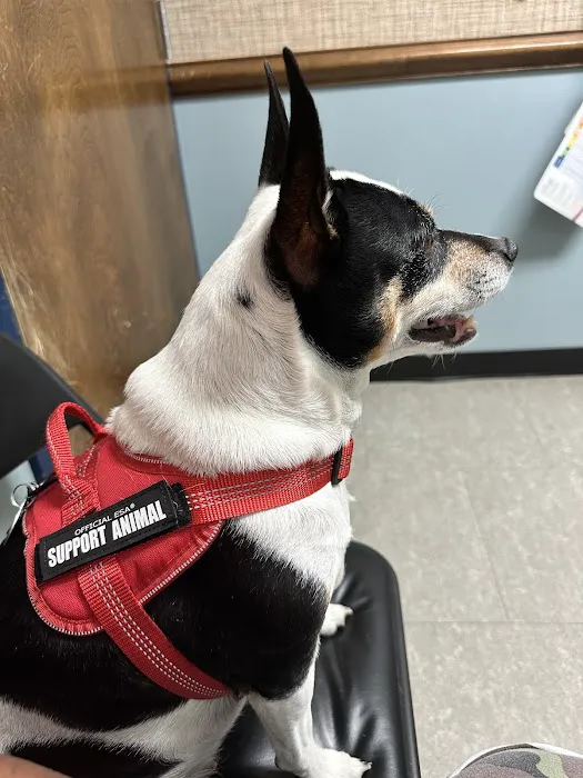 Roanoke Animal Hospital Picture 6