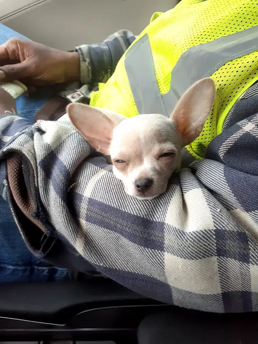 Lake Country Animal Hospital Picture 2