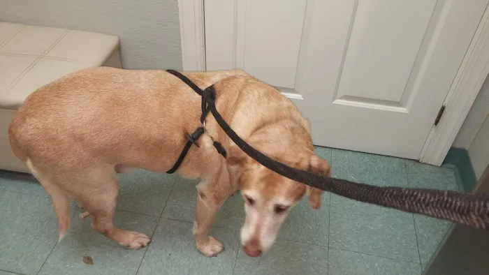 Lake Country Animal Hospital Picture 3