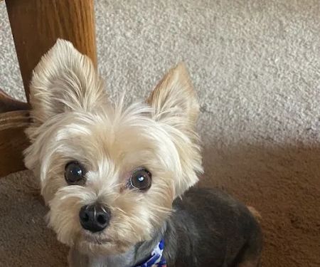 Lake Country Animal Hospital